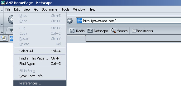 Netscape Picture 1